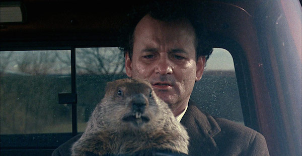 Is it Groundhog Day in your Business, Every Day?